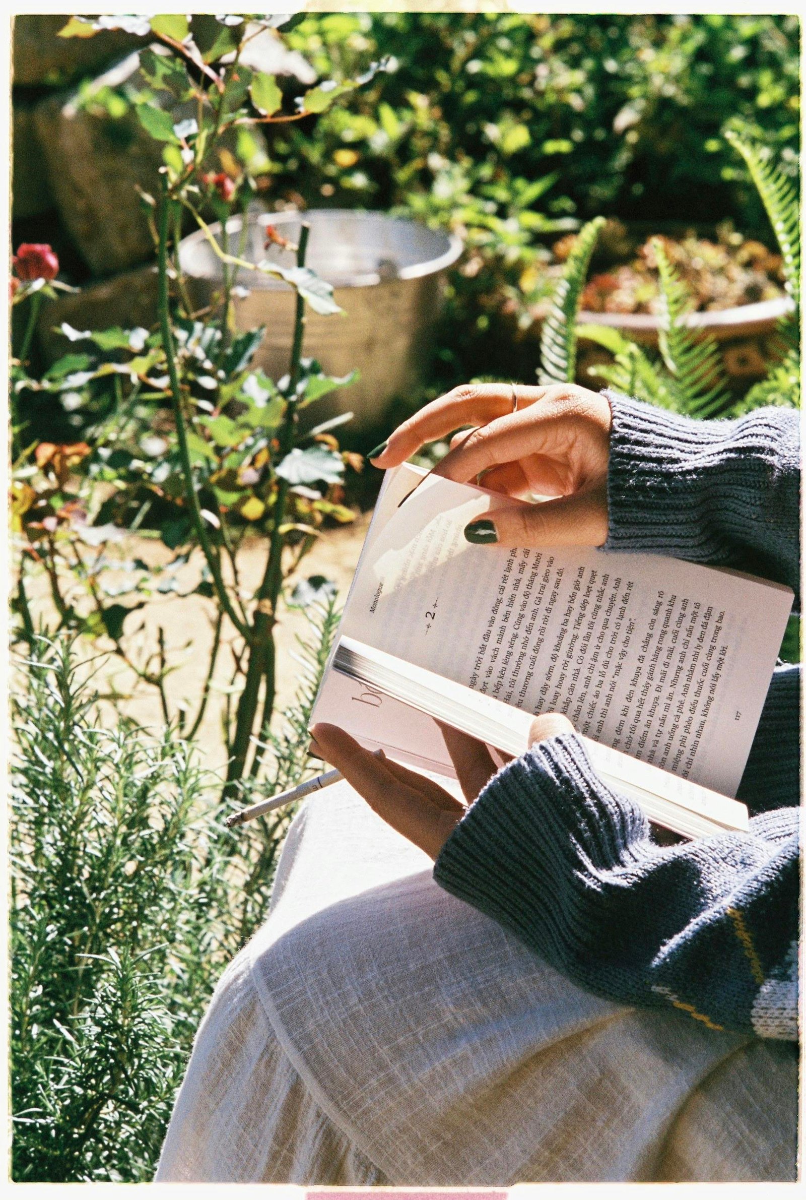 Close-up of hands holding an open book in a lush garden in Dalat, Vietnam.